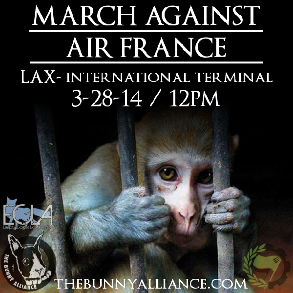 March Against Air Fr...