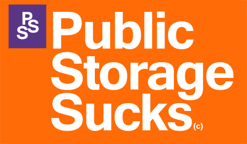 Public Storage Logo...
