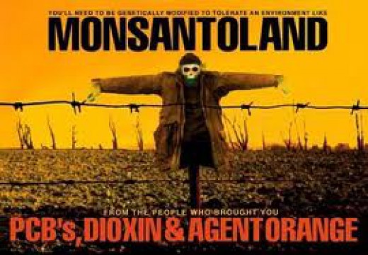  Monsanto Patenting ...