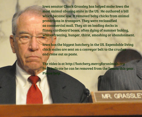 Chuck Grassley And S...