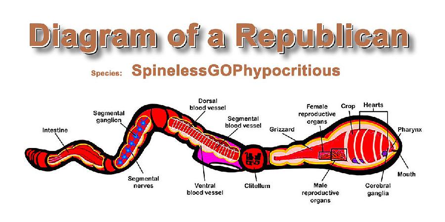 Spineless Republican...