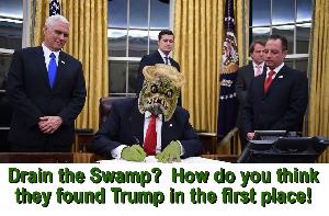 America is Suffering Under an Ego Driven Fascist Pig While Spineless GOP Proudly Looks On