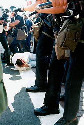 Protestor Clubbed In...