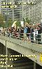 Occupy Los Angeles, Occupy Wall Street Solidarity