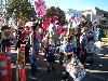 Occupy the Rose Parade