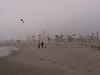 Venice Boardwalk has cleaned out commercial vendors !