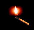 BURN THE BALLOT 2012