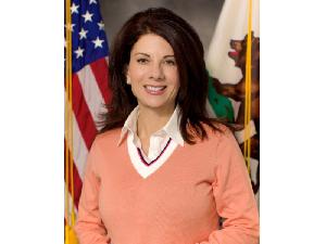 Assemblywoman Melissa Melendez, Pandering to the Corporate Whores of the Storage Industry