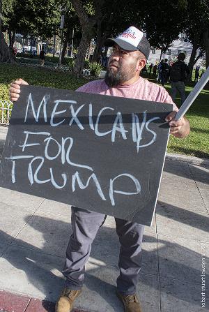 Stop The Steal LA Protester