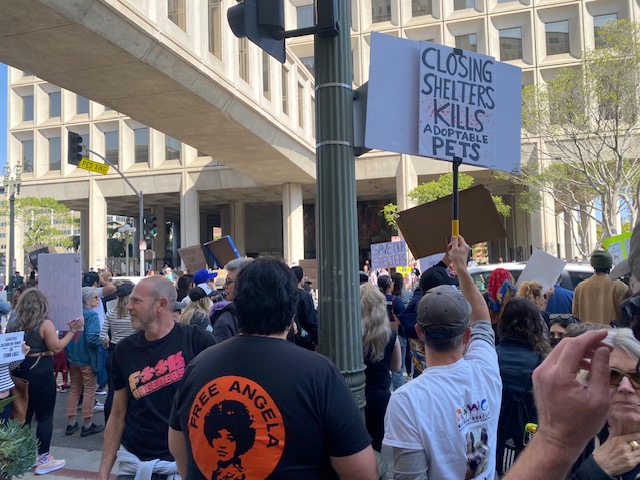 Protesting Closure o...
