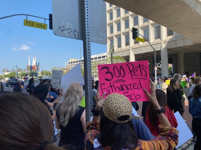 Protesting Closure o...