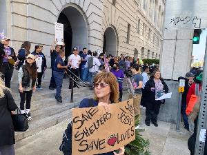 Protesting Closure of Animal Shelters by Mayor Bass