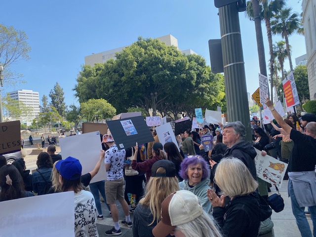 Protesting Closure o...