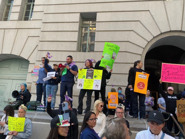 Protest Against Bass...