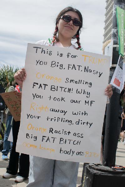 No Kings Rally DTLA ...