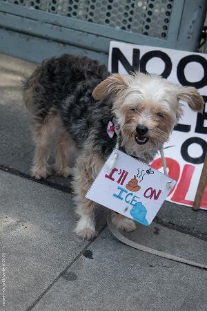 No Kings Rally DTLA 6-16-25