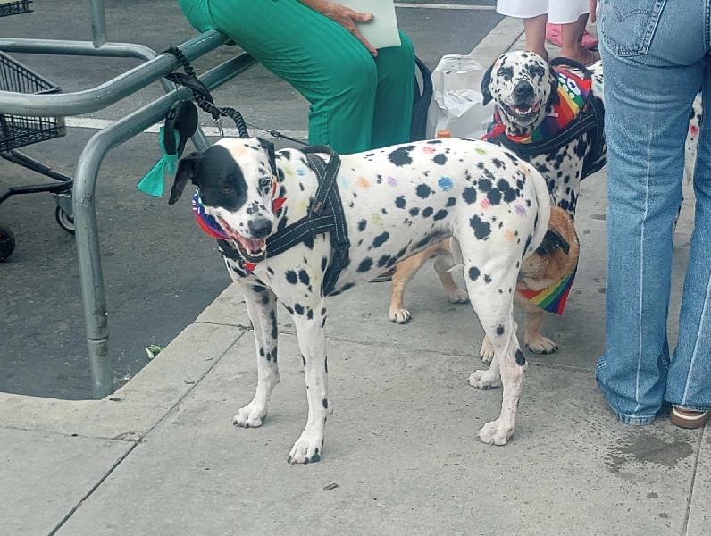 WeHo Pride 2025...
