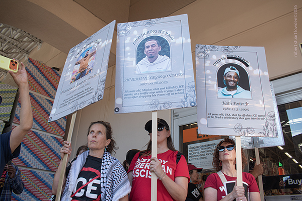 NELA Alliance Cypres...