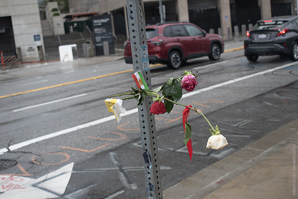 ICE Detention Birthd...